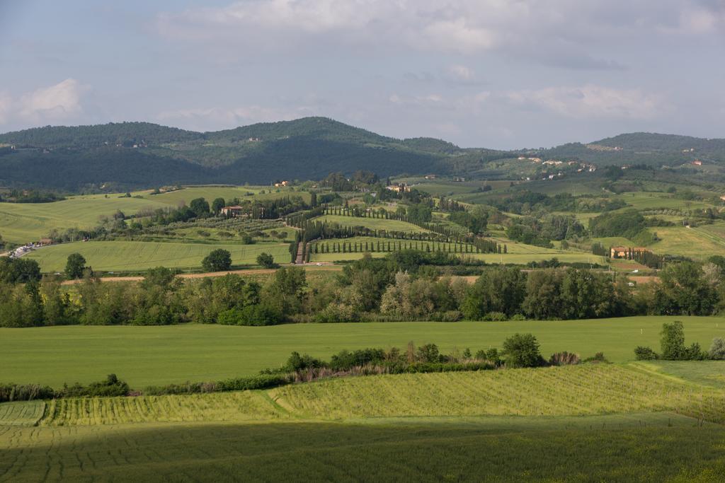 Podere Torricella Montespertoli Zewnętrze zdjęcie