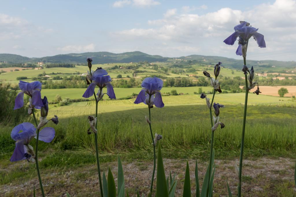 Podere Torricella Montespertoli Zewnętrze zdjęcie